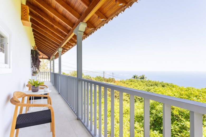 Teneriffa Nord: Große Avocado Finca: Einmalige Investitionsmöglichkeit!